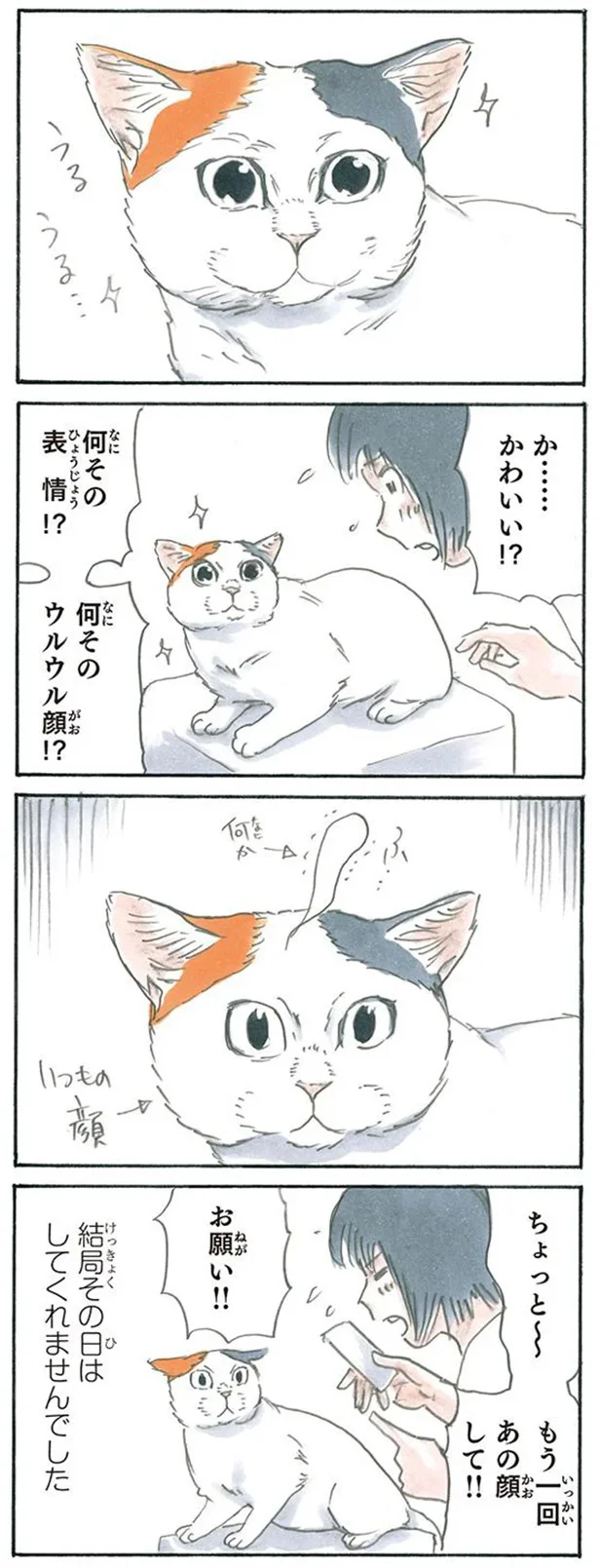幻のウルウル顔