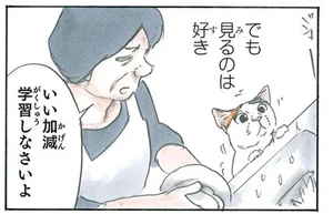 濡れるのはキライな猫。水が流れる所はどうしても見たくて／拾い猫のモチャ4（7）