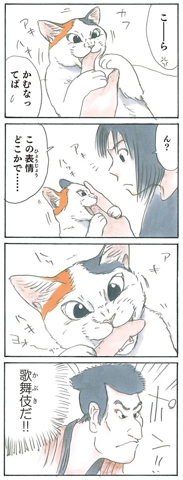 どこかで見た顔