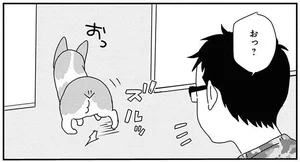 元気いっぱいのコーギーがお部屋でズルッ！犬がすべっていたら、ここに注意／あしょんでよッ ～うちの犬ログ～8（10）