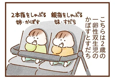 一卵性双生児のかぼすとすだち