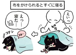 お布団をかけたらスヤァ。猫らしからぬ文化に染まった理由とは／黒猫ろんと暮らしたら3（5）