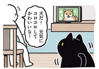 TVに写った犬を褒めたら。甘えん坊な猫の行動が可愛すぎる！／黒猫ろんと暮らしたら3（11）