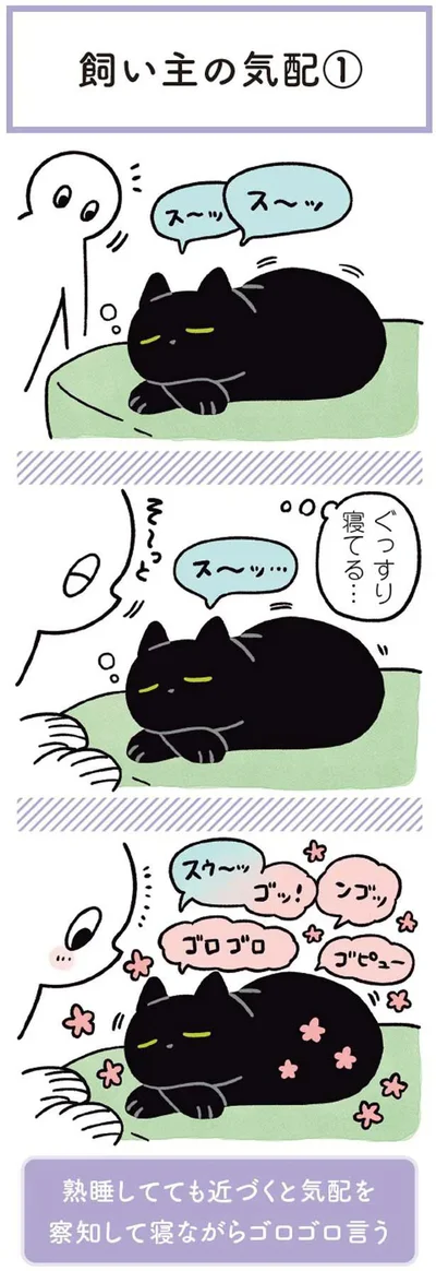 ぐっすり寝てる…