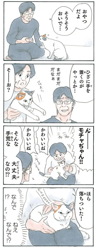 懐くってなんだろう