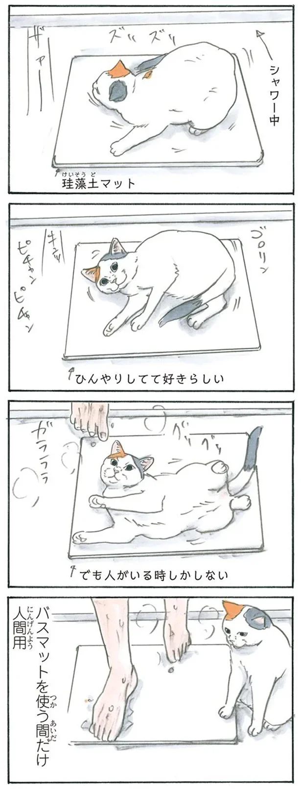 猫はお風呂で戯れる