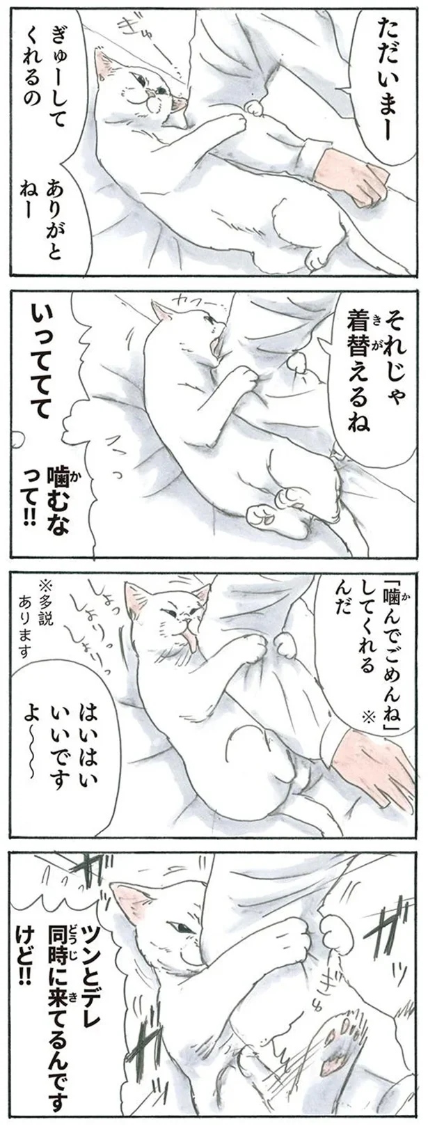 ツンとデレ