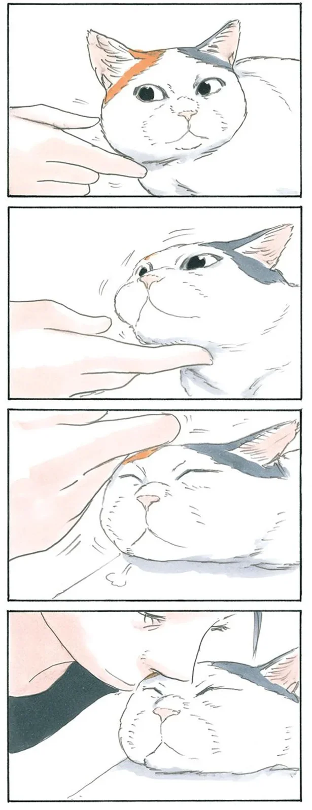 でこチューまでの流れ