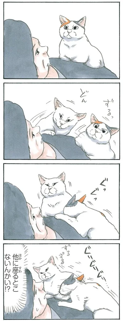 ポジション争い