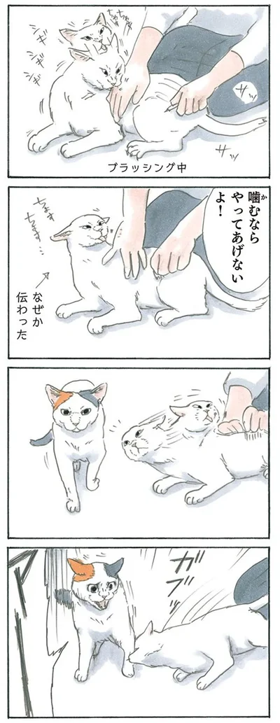 噛むしかなかった