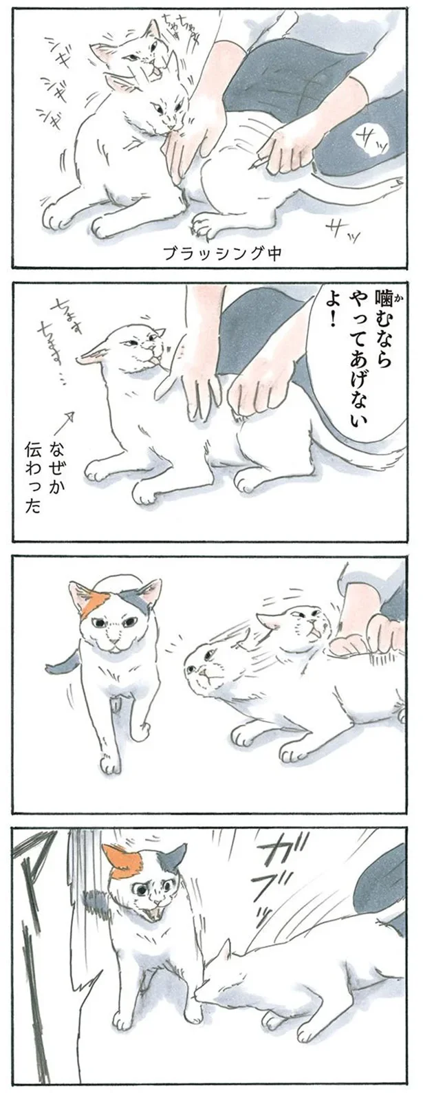 噛むしかなかった
