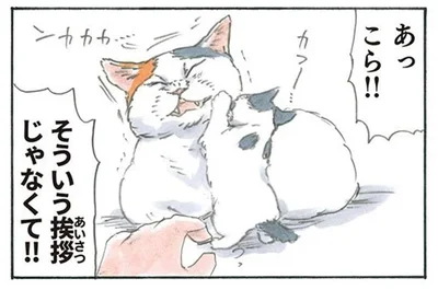 そういう挨拶じゃなくて！