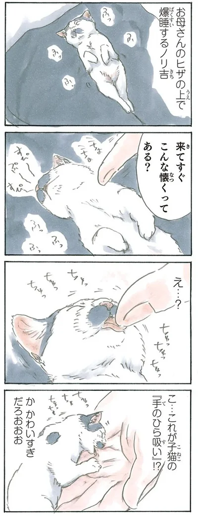 お母さんの手