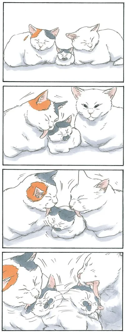 仲間入り