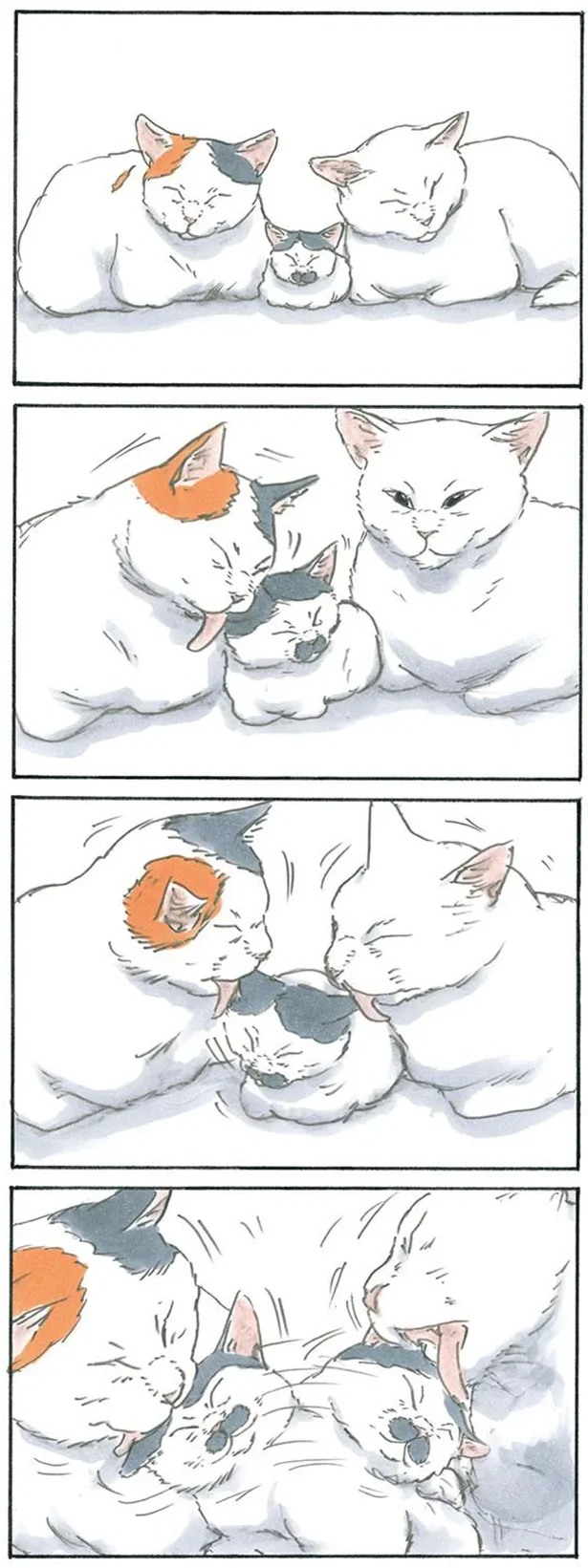 仲間入り