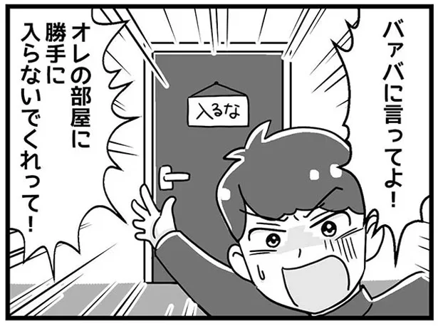 「俺の部屋に勝手に入らないで！」思春期の孫の部屋を勝手に漁る義母／嫁ぎ先が全員めんどくさい（2）