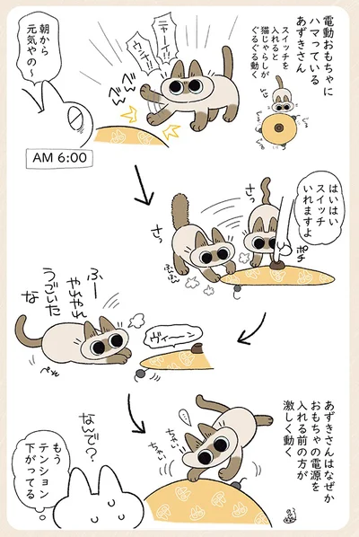 もうテンション下がってる