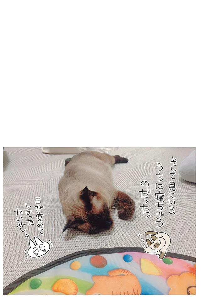 見ているうちに寝ちゃう