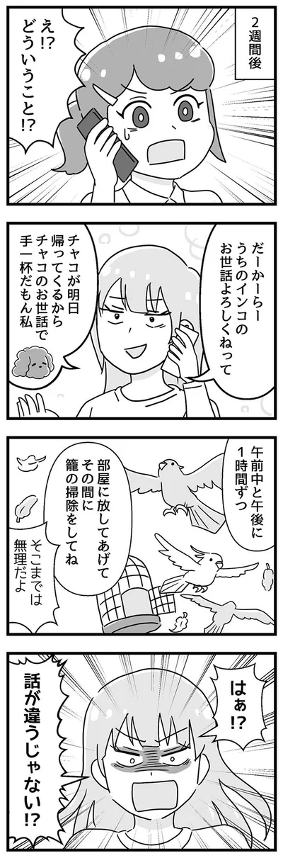 はぁ！？話が違うじゃない！？