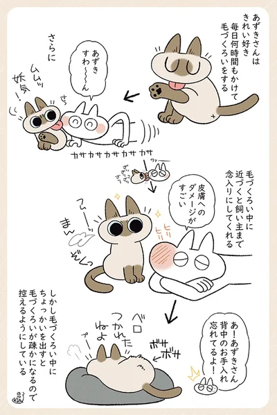 あずきさんはきれい好き