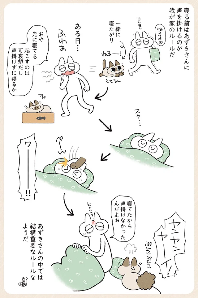 あずきさんの重要なルール