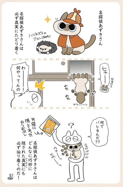 名探偵あずきさん