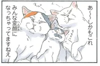 リラックスしすぎて変顔!? 布団にもぐりこんで眠る3匹の猫／拾い猫のモチャ6（5）