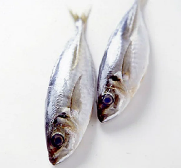 【写真を見る】青魚の中でも、あじはコレステロール値を下げるタウリンを多く含む