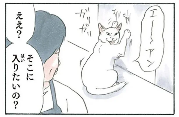 そこに入りたいの?