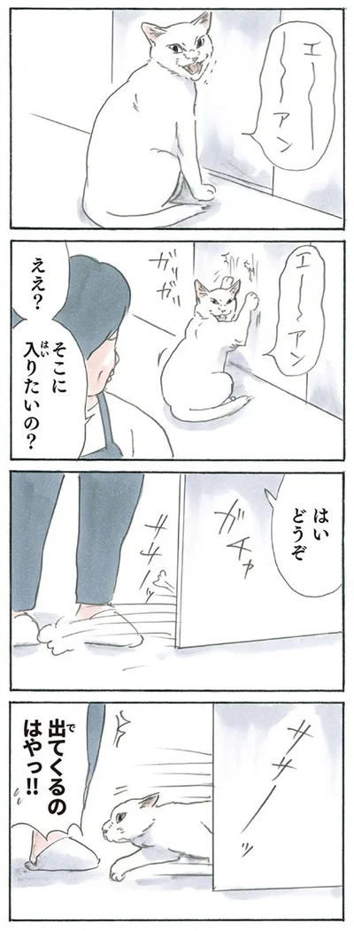 出てくるのはや!!