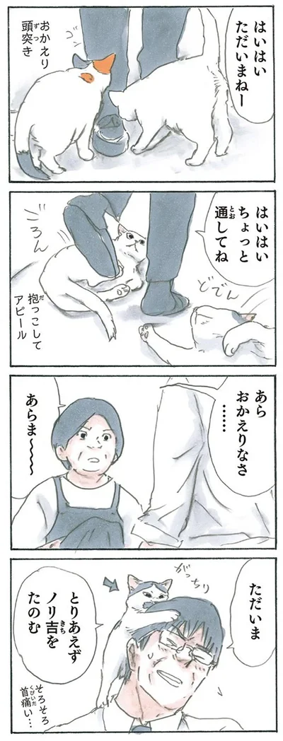 とりあえずノリ吉をたのむ