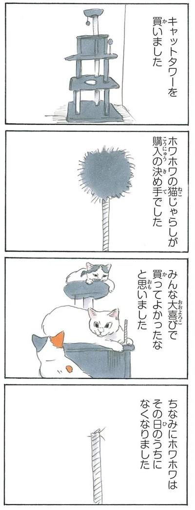 ホワホワはその日のうちになくなりました