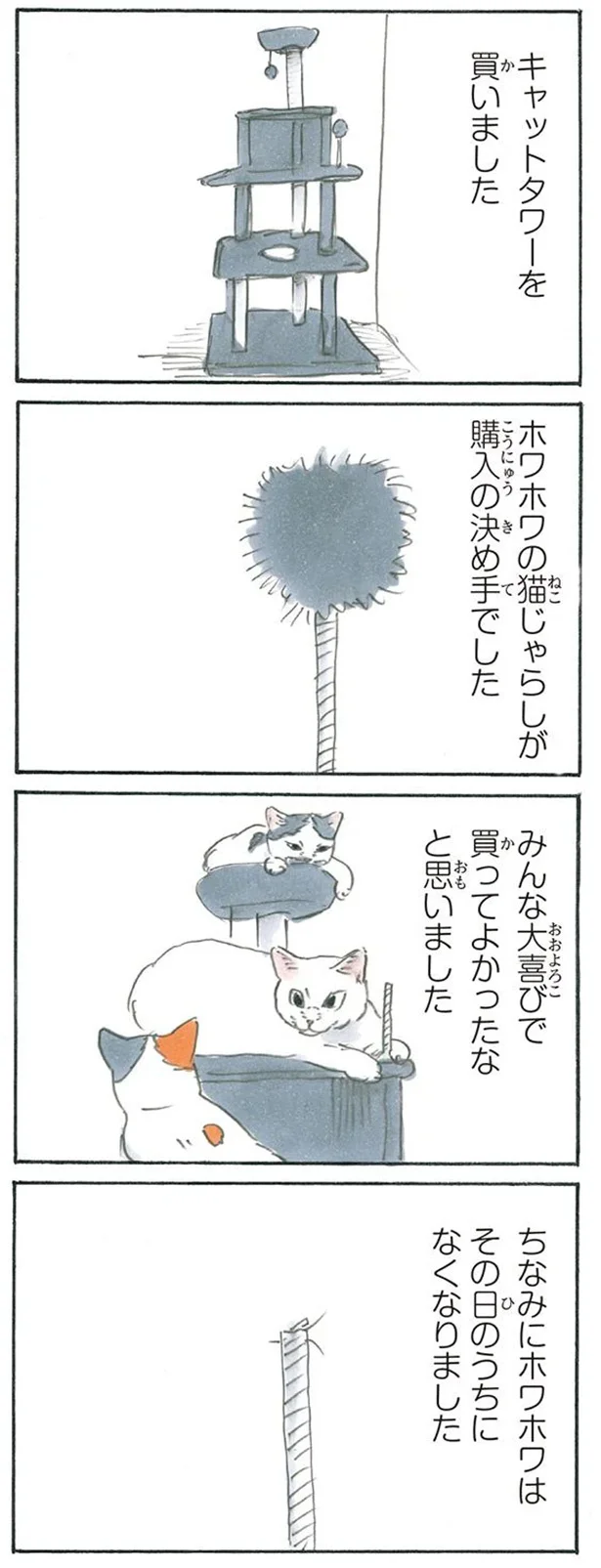 ホワホワはその日のうちになくなりました