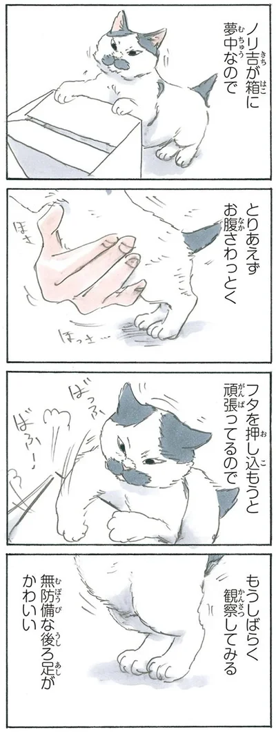ノリ吉観察
