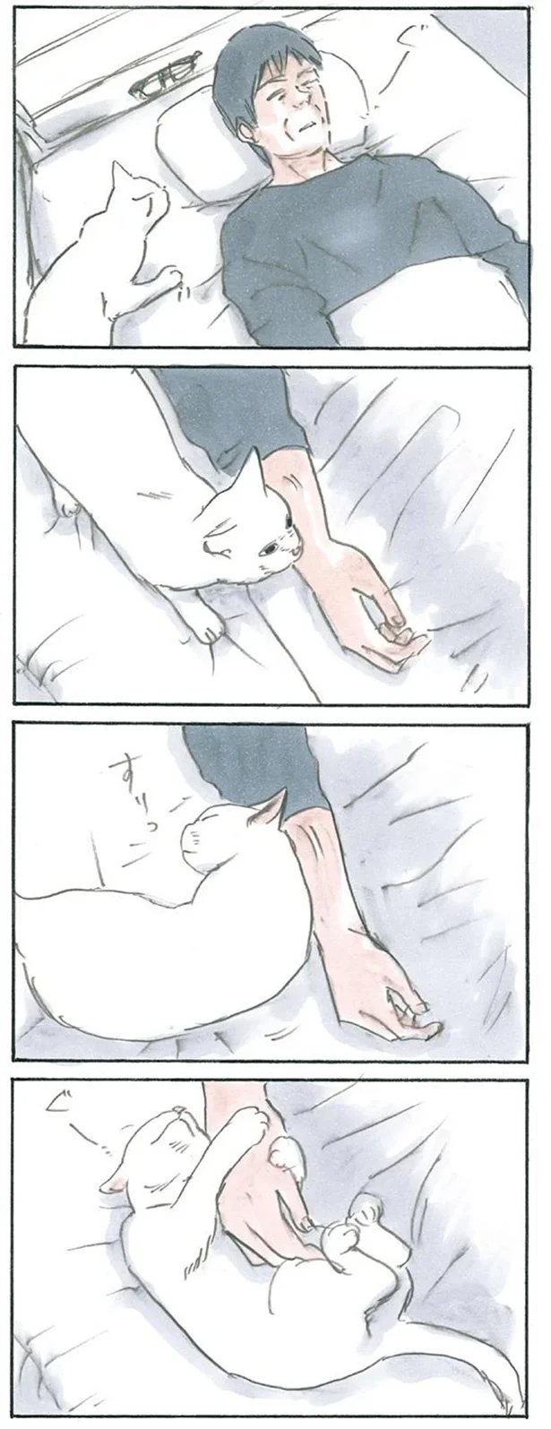ミルクの居場所