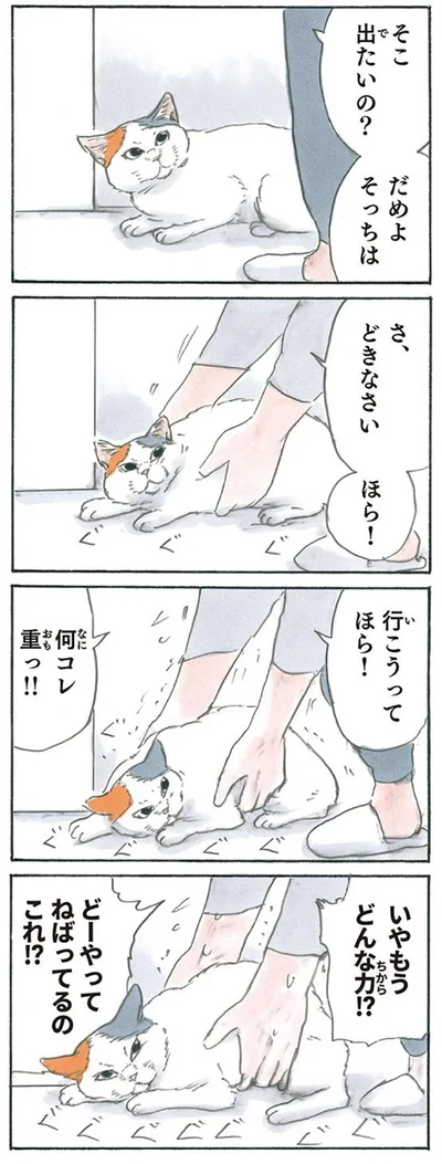 謎のふんばり力