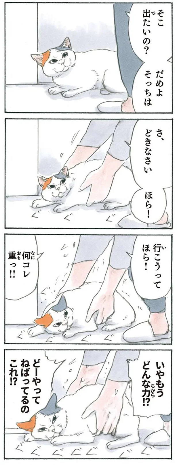謎のふんばり力