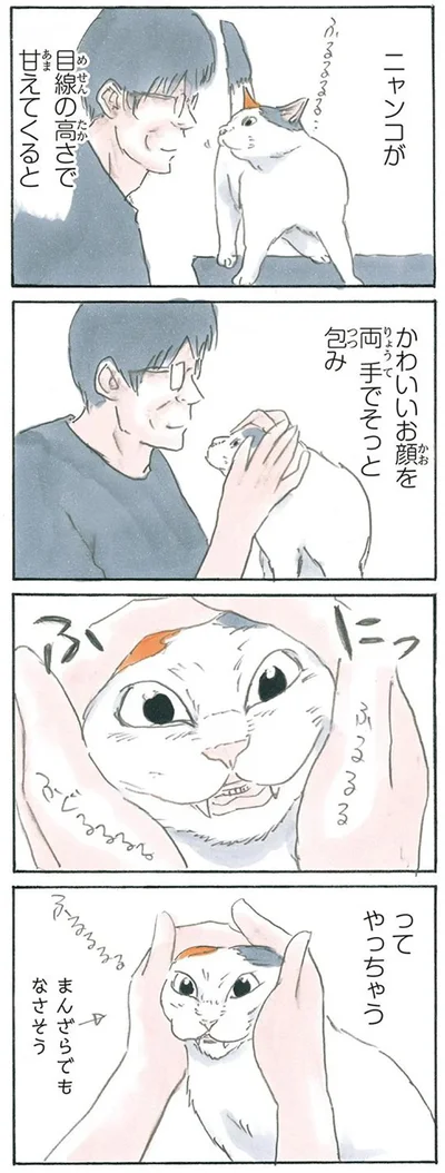 ふにってやっちゃう