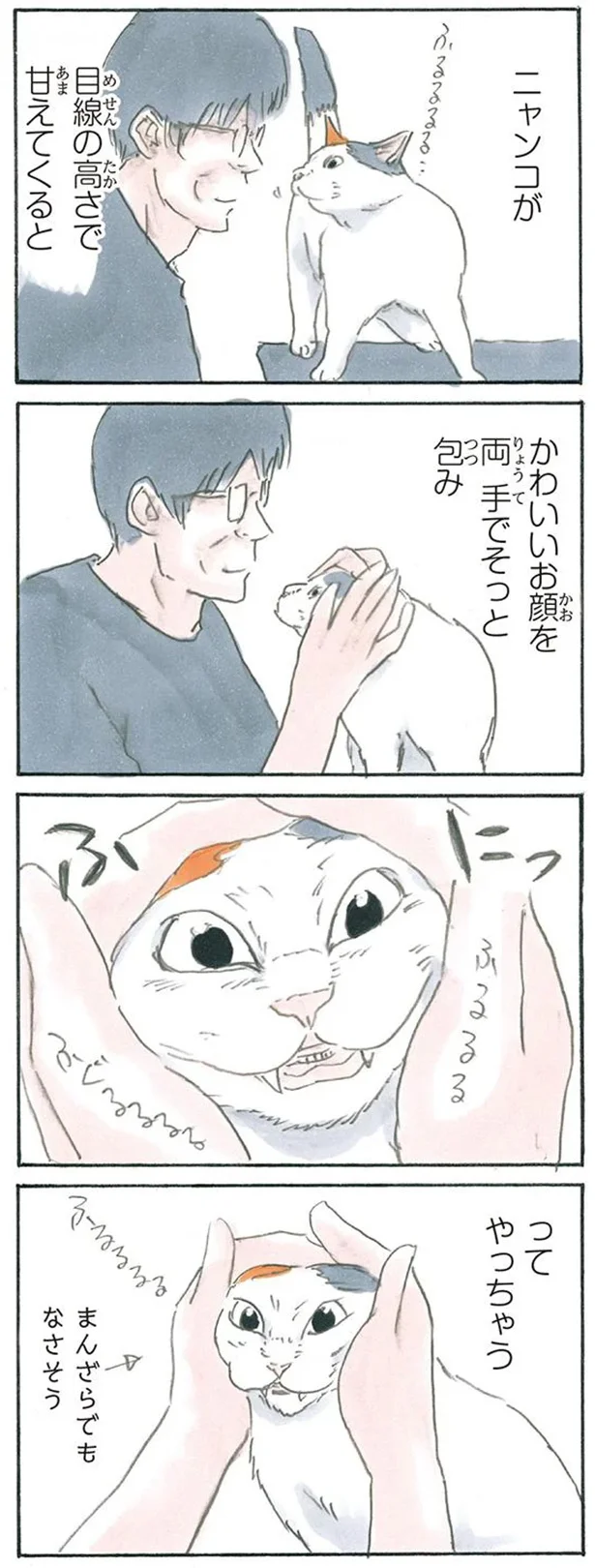 ふにってやっちゃう