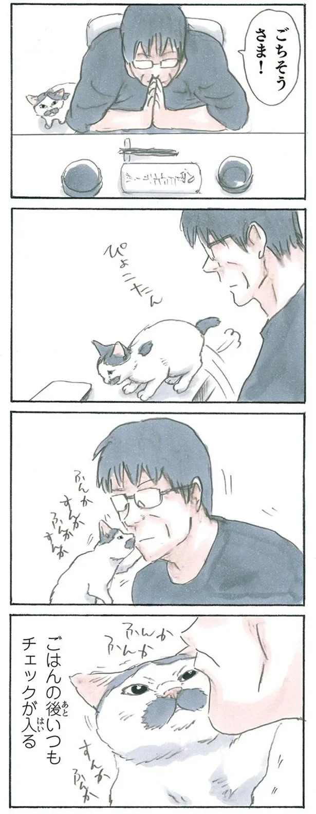 ノリ吉警察