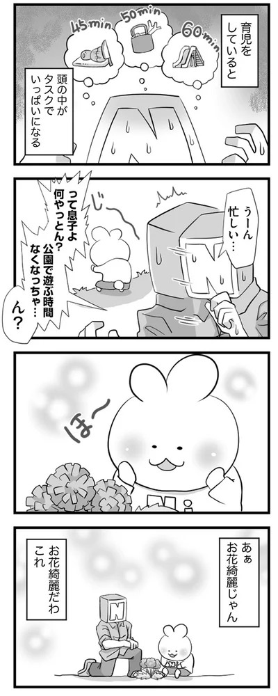 綺麗な花