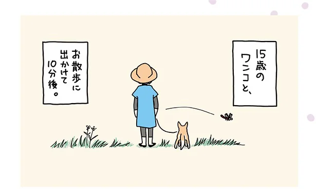 【ワンコ15歳】うまく歩けなくなっても上機嫌。いつもの河川敷で繰り広げる優雅な老犬散歩ルーティン