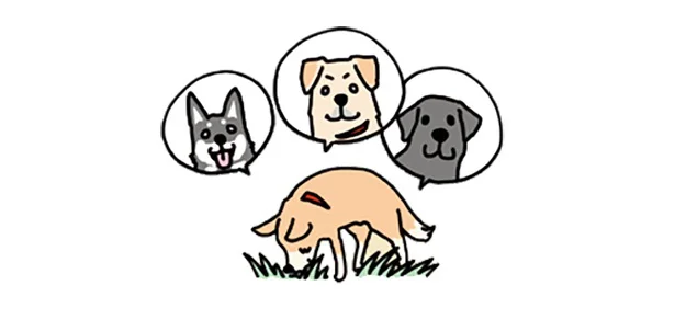 犬手紙を読むのが楽しいようで、長ーい時間をかけて熟読します