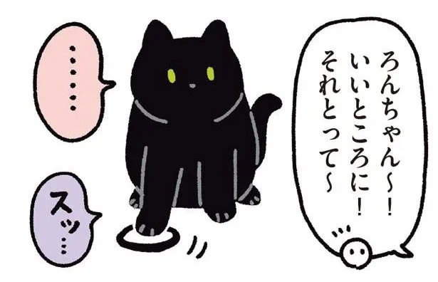 うちの猫天才かも。飛んでったヘアゴムを華麗に返却／黒猫ろんと暮らし