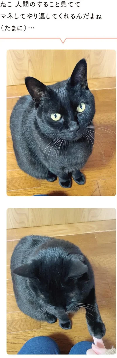 マネしてやり返してくれるんだよね（たまに）…