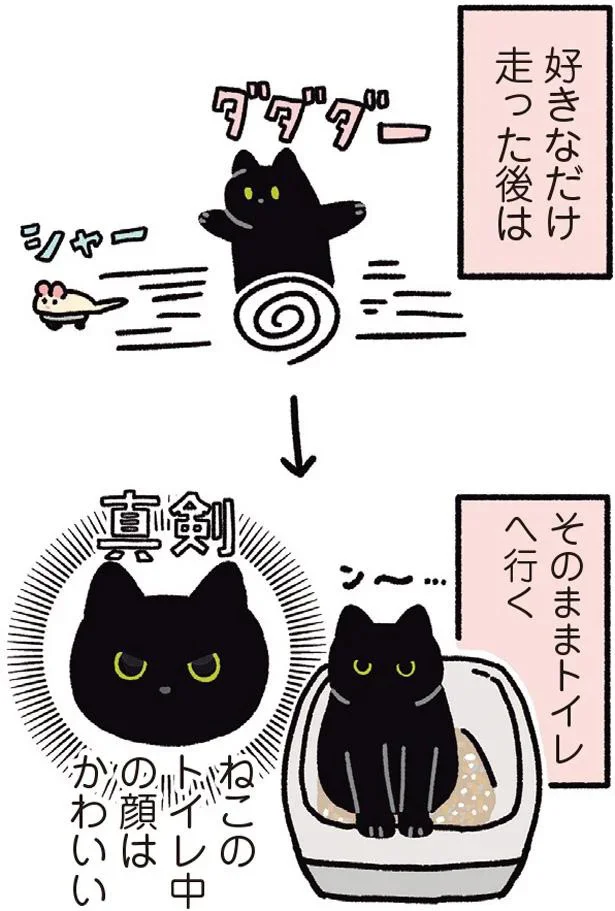 ねこのトイレ中の顔はかわいい