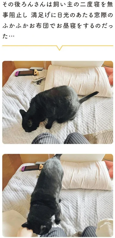 ふかふかお布団でお昼寝をするのだった…
