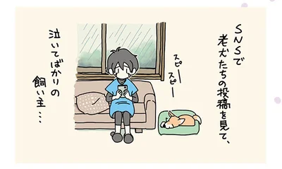 SNSで老犬たちの投稿を見て