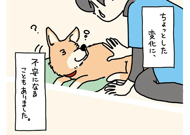 【ワンコ17歳】頭をよぎる「もしかして」の文字。大好きな散歩の時間なのにケージの中で動かない！と思ったら