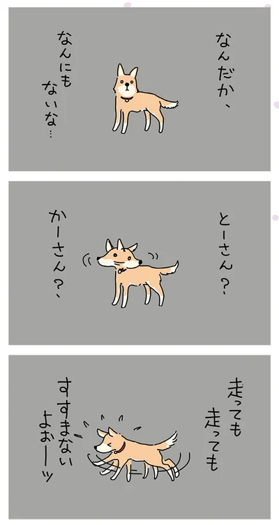 なんにもないな…